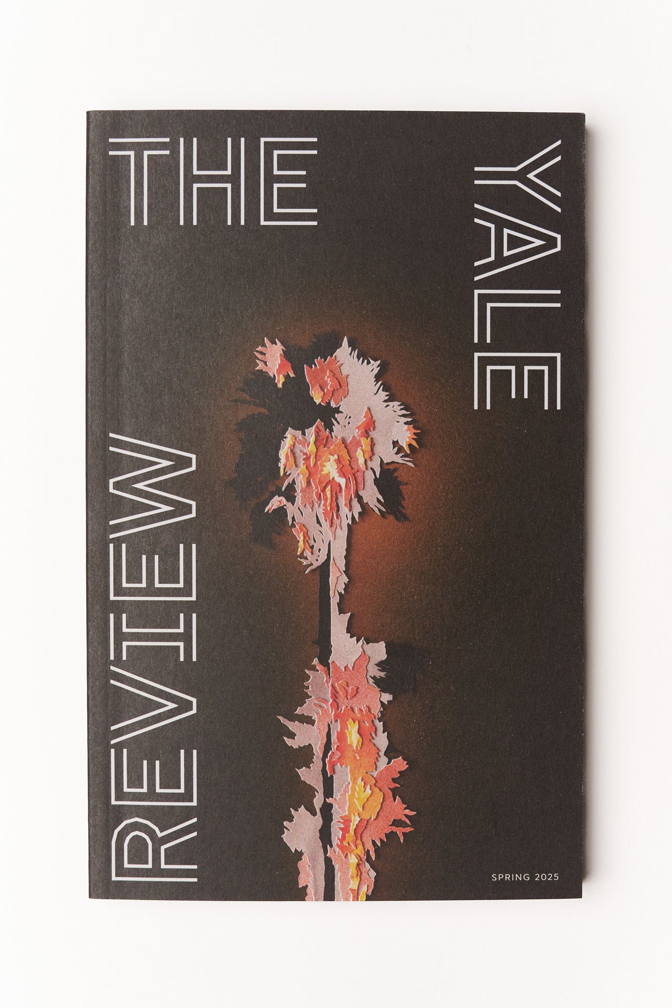 Spring 2025 Issue